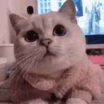 Miguel González Avatar