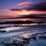 Arturo Zúñiga Avatar