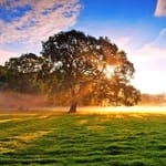 Iván Téllez Avatar